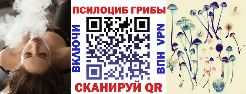 гидра как войти дарк нет наркотические препараты Псилоцибиновые грибы Magic Shrooms Волгодонск
